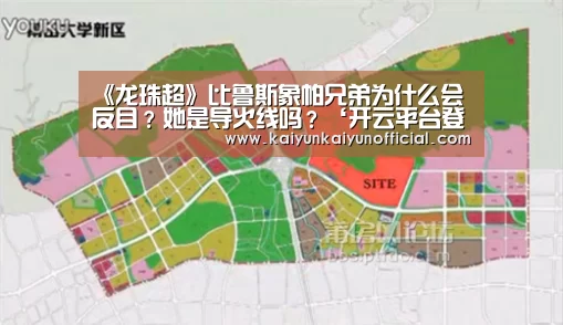 开云网址登录入口