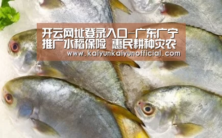 开云网址登录入口-广东广宁推广水稻保险 