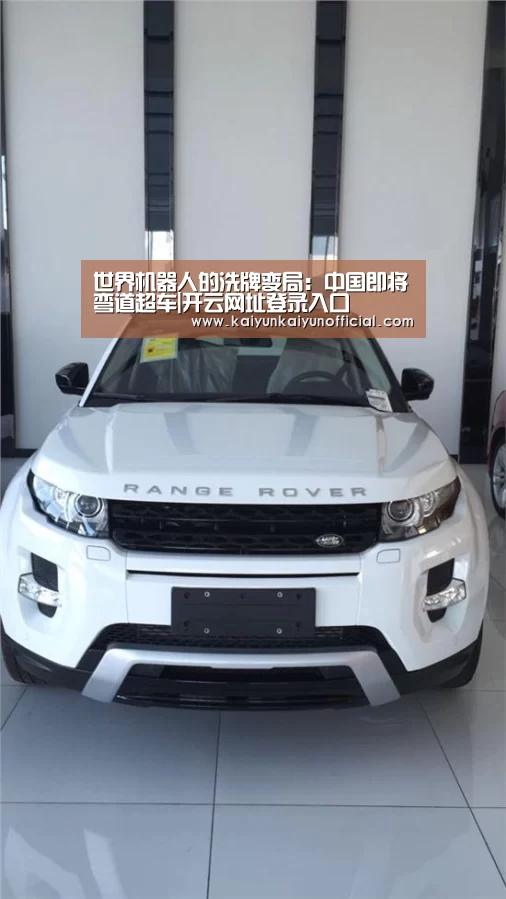世界机器人的洗牌变局：中国即将弯道超车|开云网址登录入口(图2)