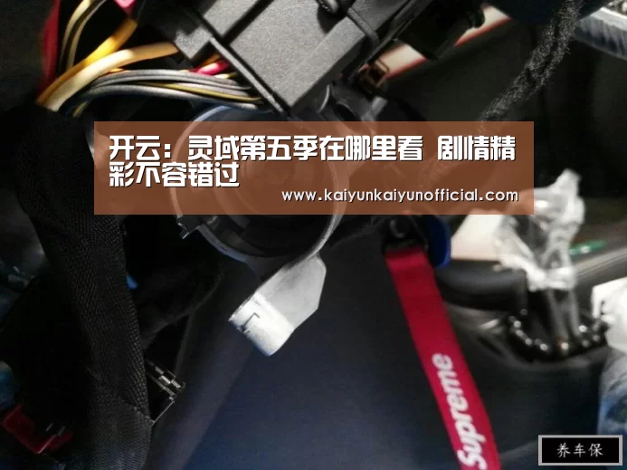 开云：灵域第五季在哪里看 剧情精彩不容错过(图1)