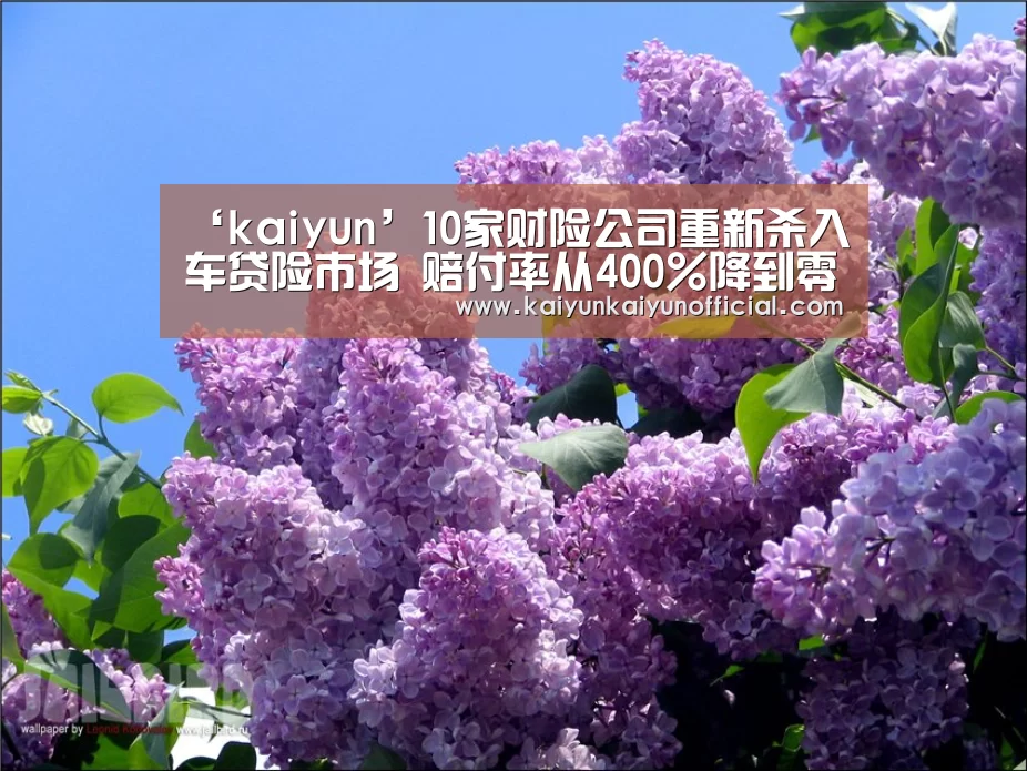 ‘kaiyun’10家财险公司重新杀入车